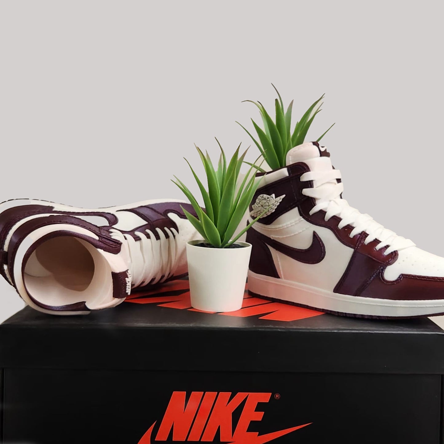 3D Printed Sneaker Planter Jordan 1 "Marsala"