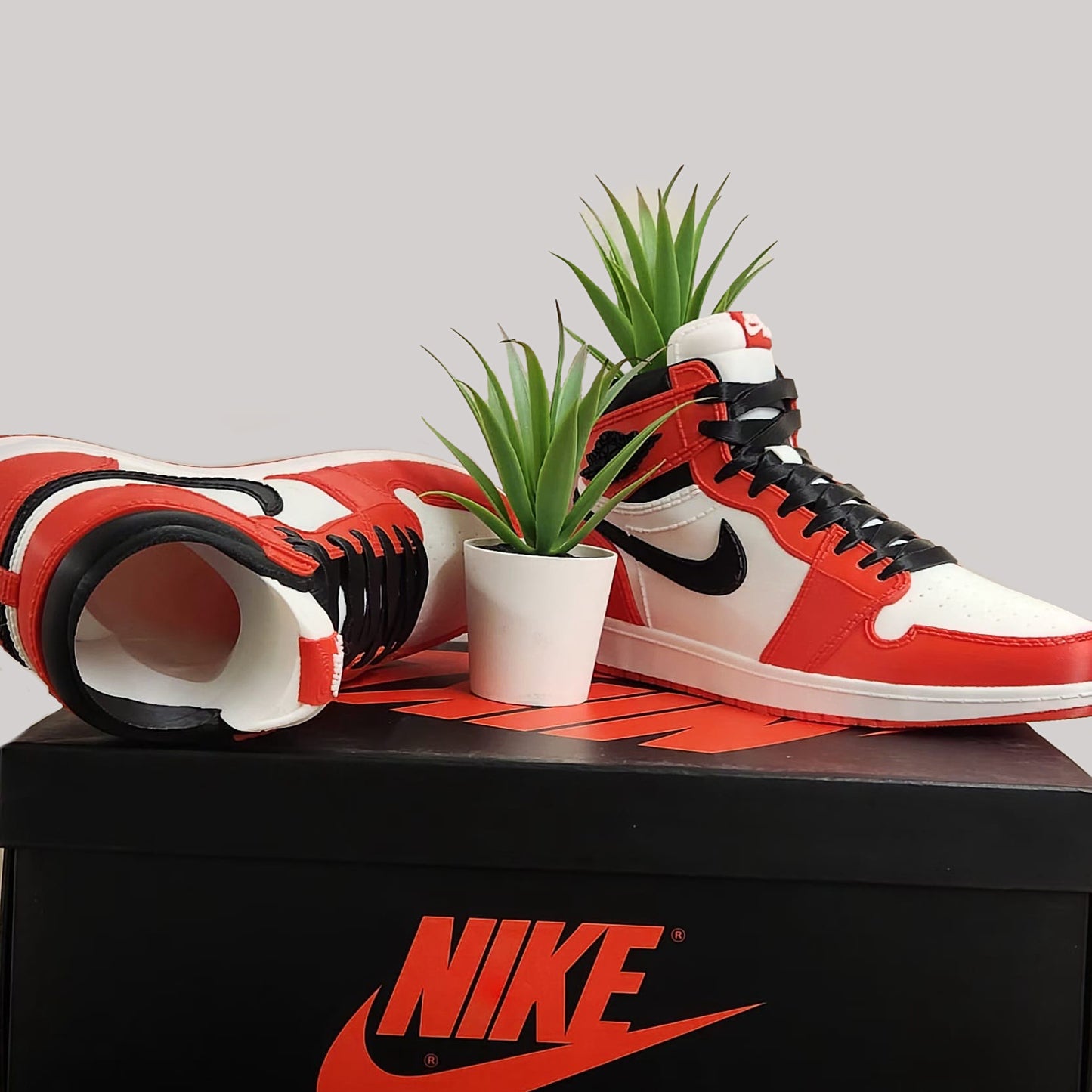 3D Printed Sneaker Planter Jordan 1 "Chicago"